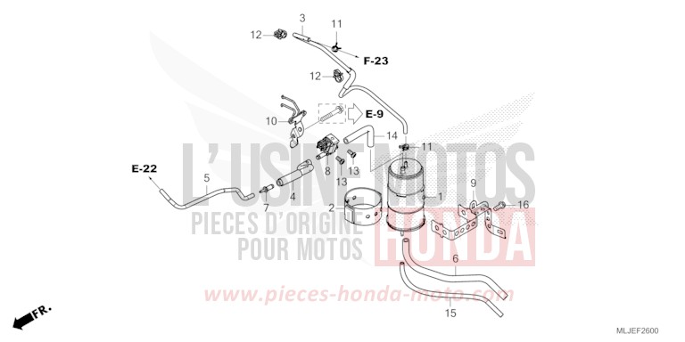 CANISTER for Gold Wing MAT ARMRED GREEN METALLIC (G208) from 2024